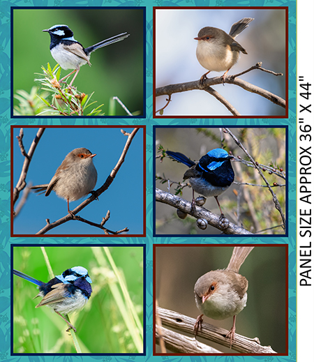 Charming Wrens Panel